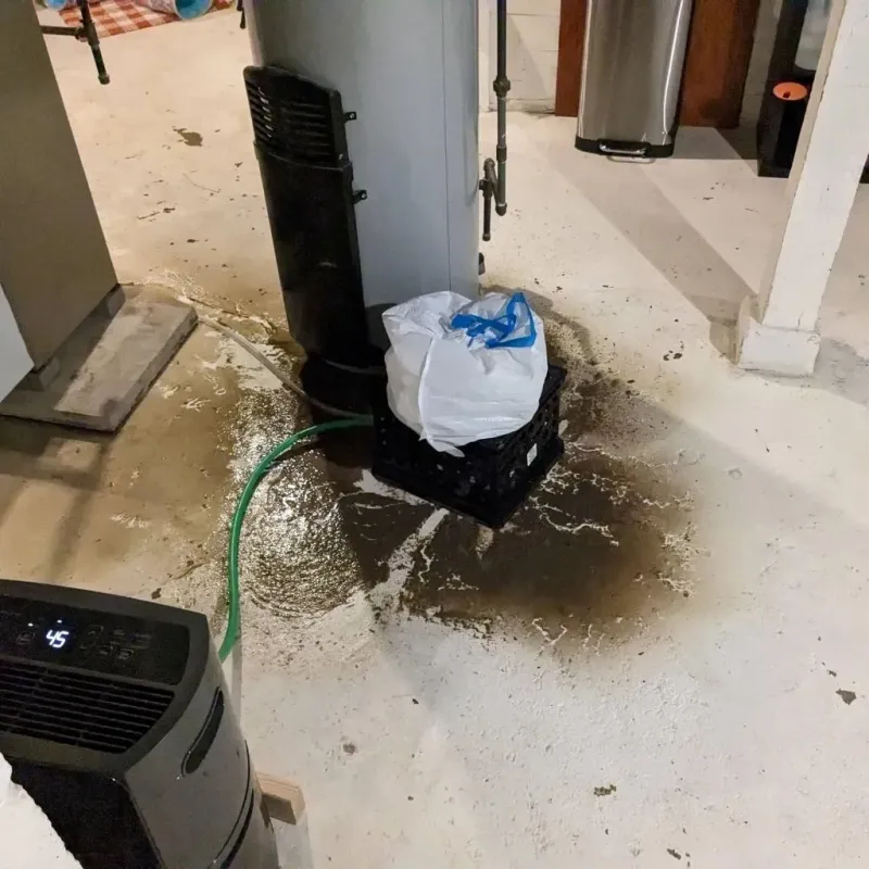 Sewage Backup Cleanup Service in Rosenhayn, NJ